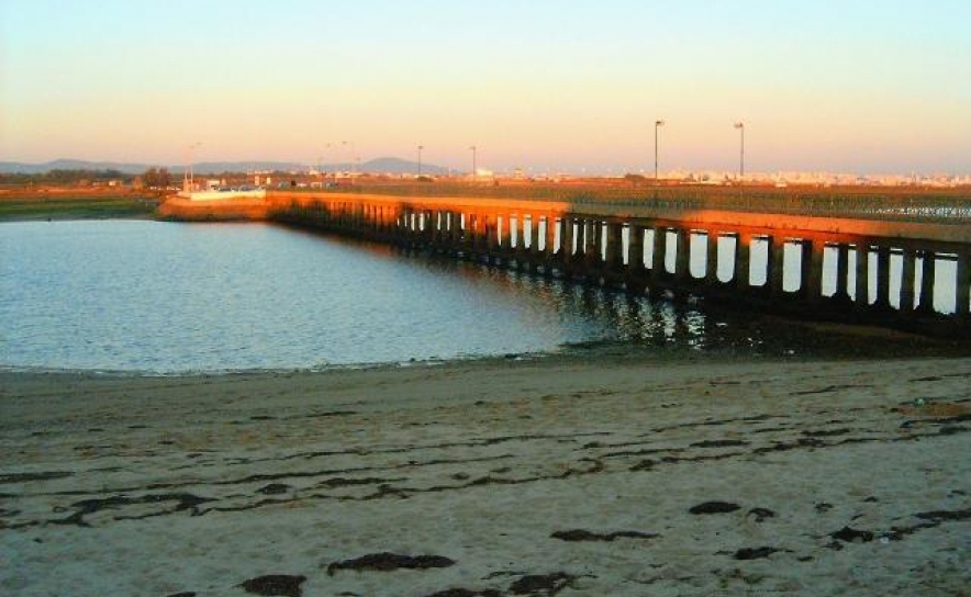 Renaturalização dos ilhores da Ria Formosa concluída até verão de 2015