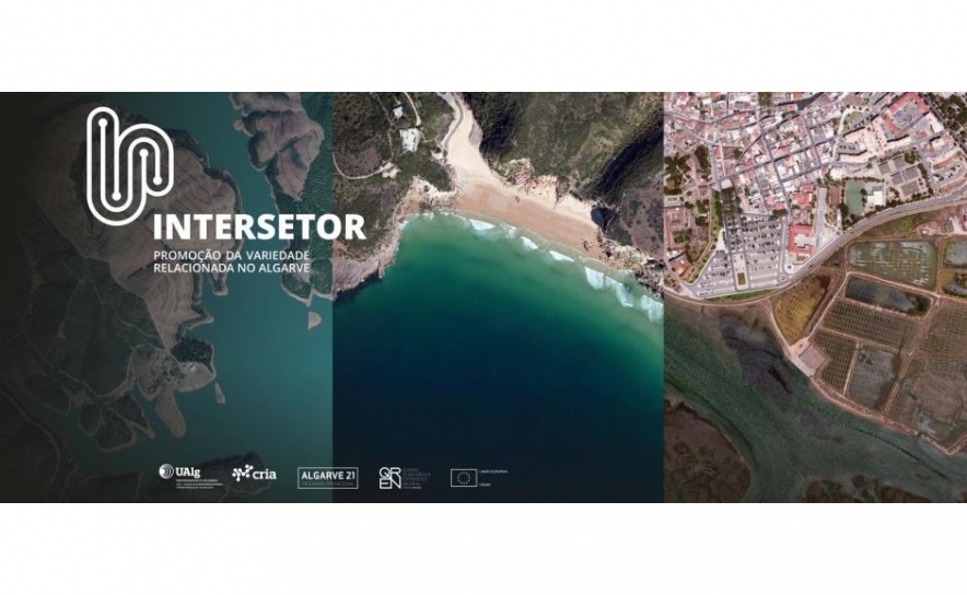 UALG LANÇA PROJETO INTERSETOR