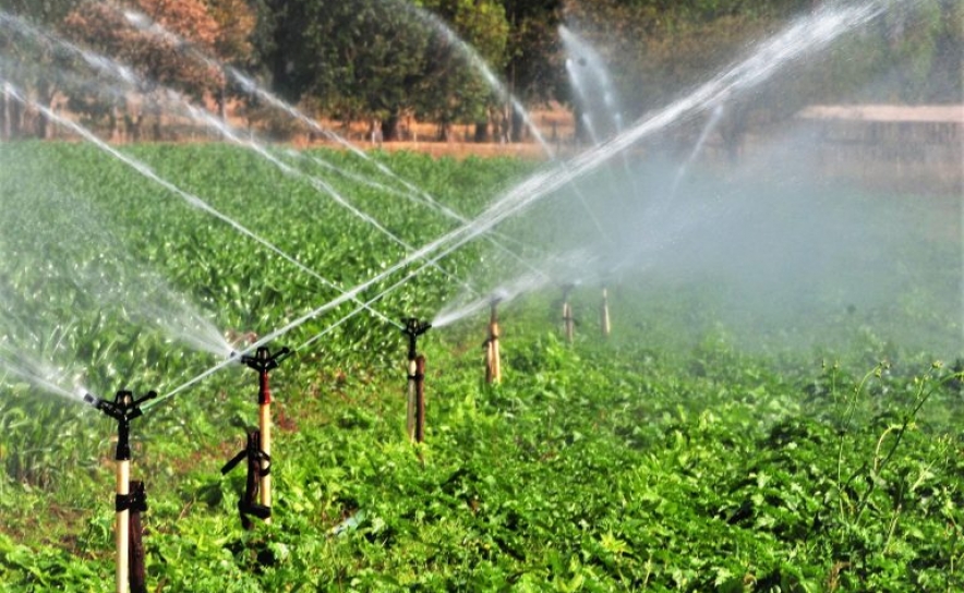 Agricultura algarvia não pode ser penalizada pela escassez de água- Associação