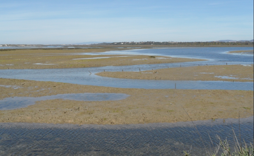 Providências cautelares adiam posse de casas nos Hangares