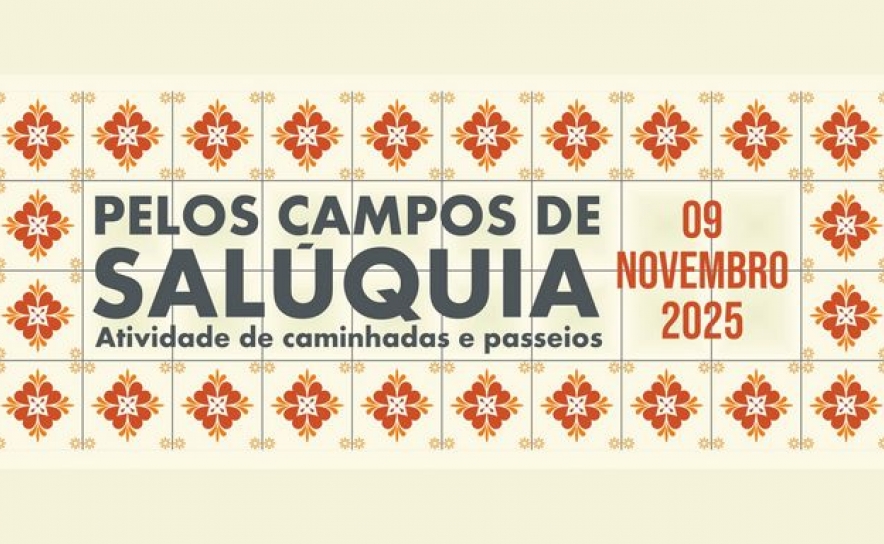 Rota do Sol convida a descobrir Amareleja a pé 