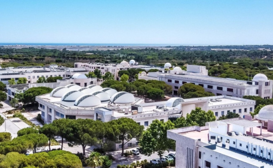 UNIVERSIDADE DO ALGARVE REGISTA O MAIOR AUMENTO DE COLOCADOS DOS ÚLTIMOS 20 ANOS