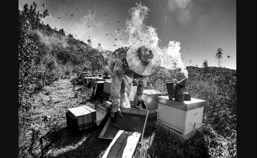 Desafio Fotográfico revela talento algarvio