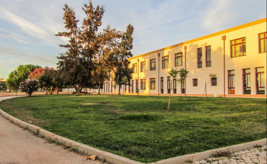 ESCOLAS DO CONCELHO DE LOULÉ VÃO FICAR LIVRES DE AMIANTO