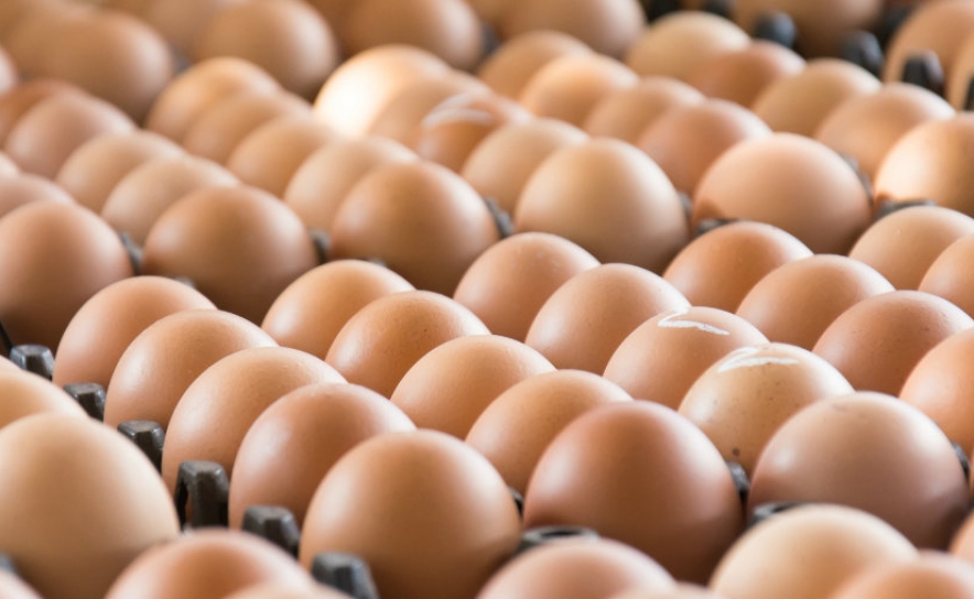 ASAE apreende mais de 1,3 milhões de ovos