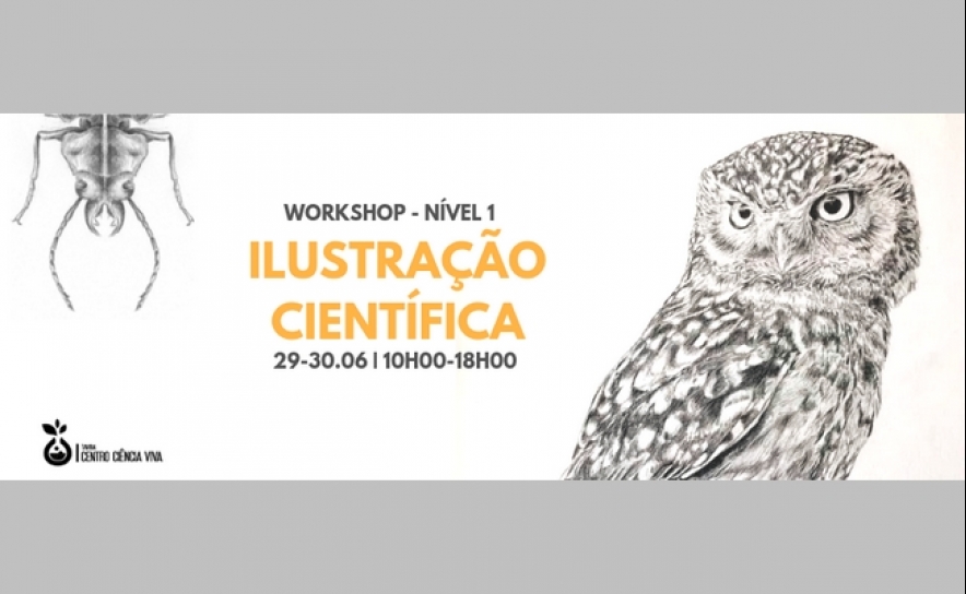 Workshop de Ilustração científica - Nível 1 