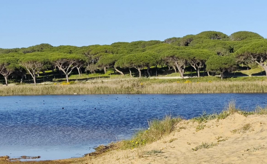 Aprovada intenção de criação da Reserva Natural Local da Foz do Almargem e do Trafal