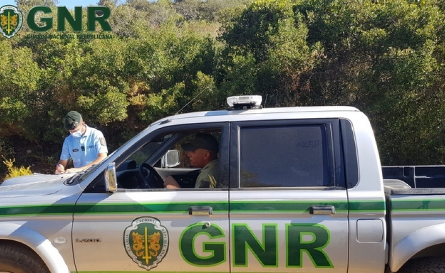 Faro – Apreendidas armas de fogo durante ação de fiscalização ao exercício da caça