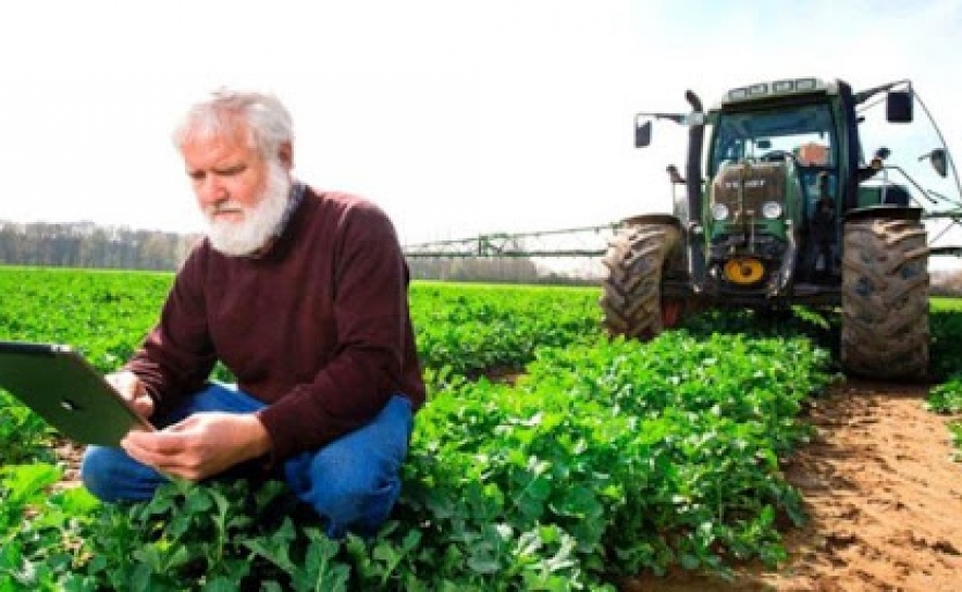 Chuva de outono alivia agricultores algarvios mas não afasta ameaça de racionamento 