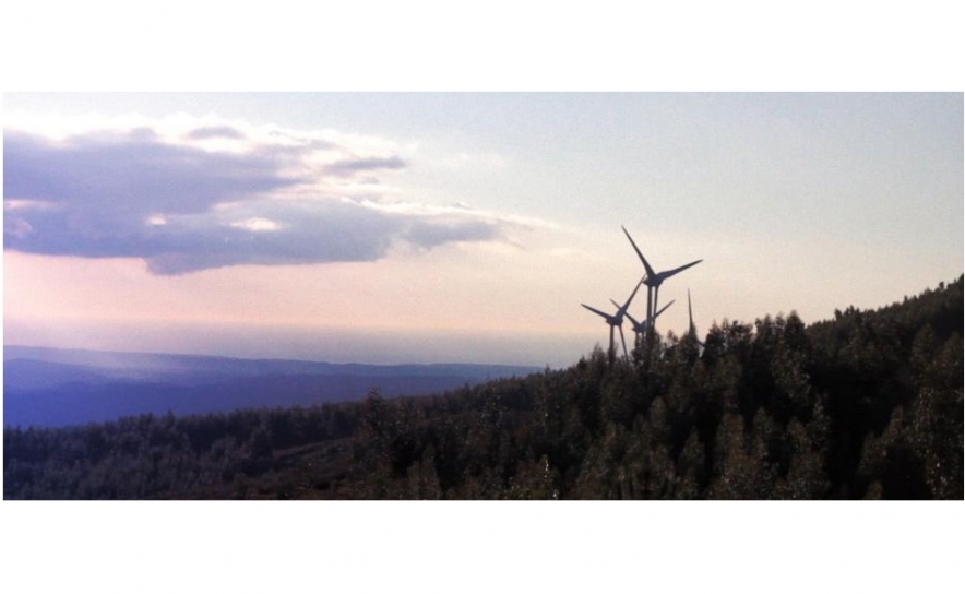 Colóquio A Fiscalidade Ambiental em Debate