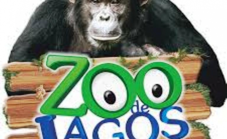 NOVOS EVENTOS EM BREVE NO ZOO DE LAGOS