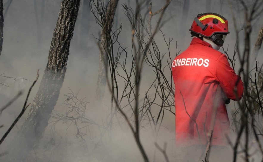 Incêndios: Mais de 70 concelhos de 11 distritos em perigo máximo