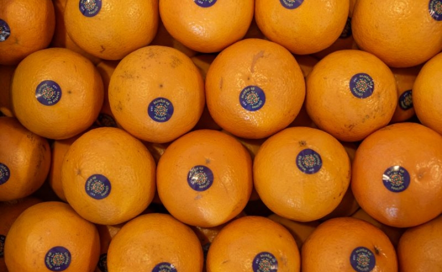 Cinco hotéis do Algarve juntam-se à AlgarOrange para promover os Citrinos do Algarve IGP