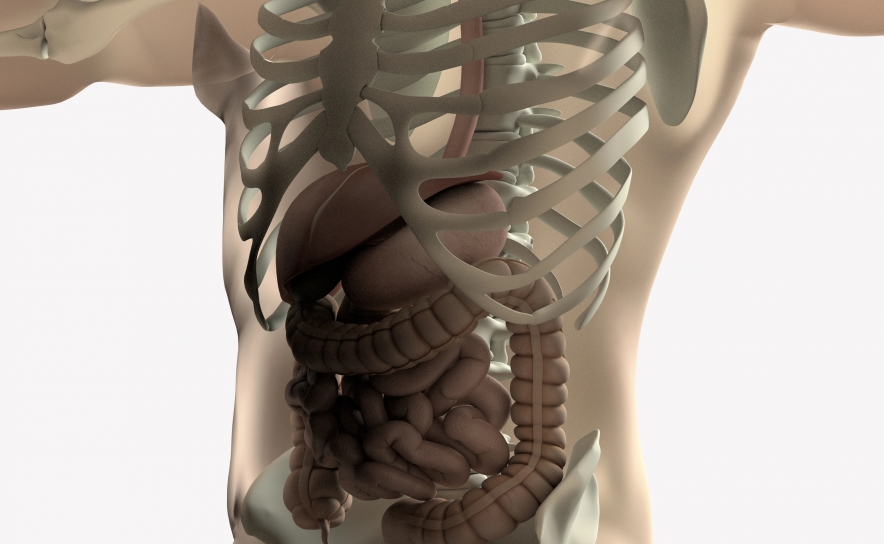É preciso mais sensibilização e apoio para as pessoas com Síndrome do Intestino Curto