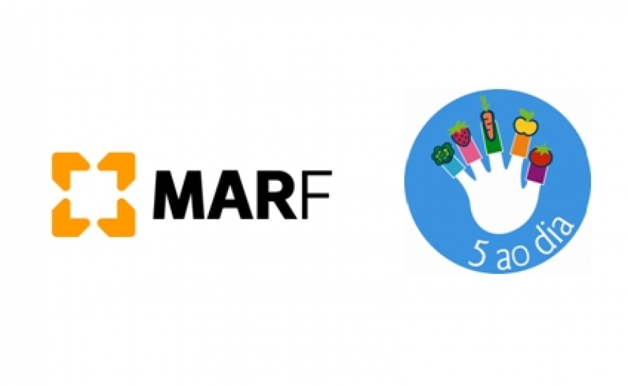 4000 Crianças já participaram no Programa 5 ao Dia