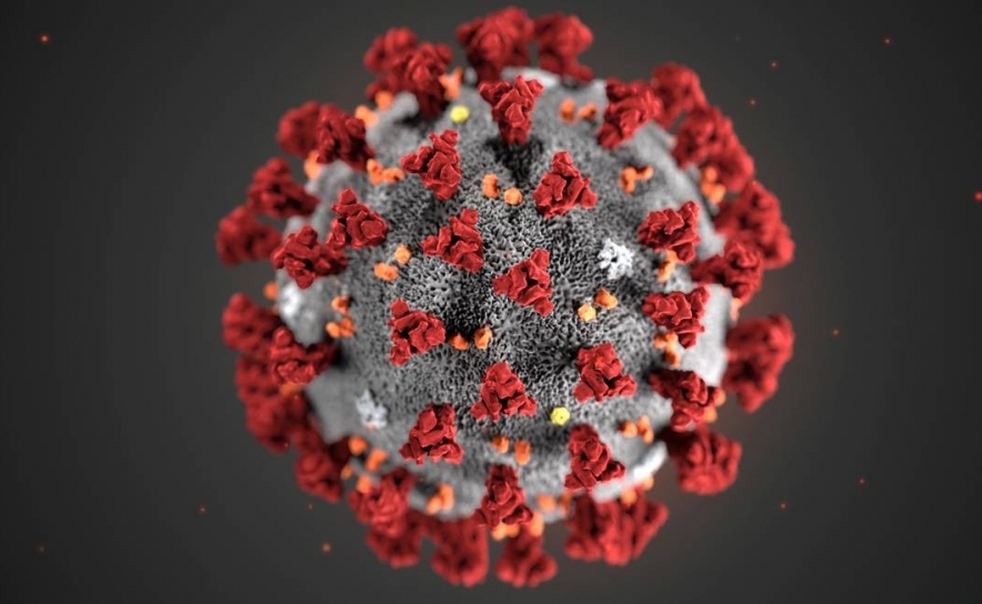 COVID-19: Algarve hoje sem novos casos de Coronavirus
