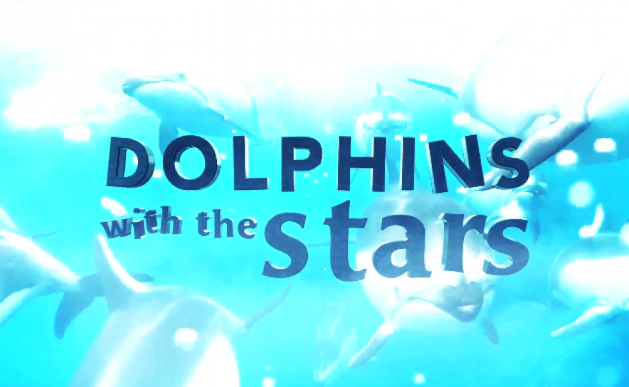 PAN pretende suspensão definitiva do programa «Dolphins with Stars» 