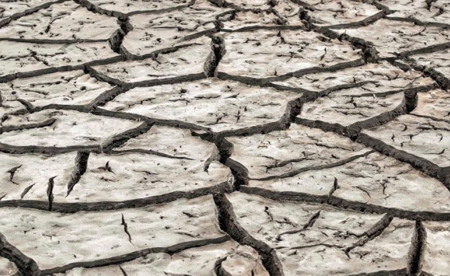 Apoios prometidos aos agricultores pelo Governo para enfrentar efeitos da seca ainda não chegaram ao terreno