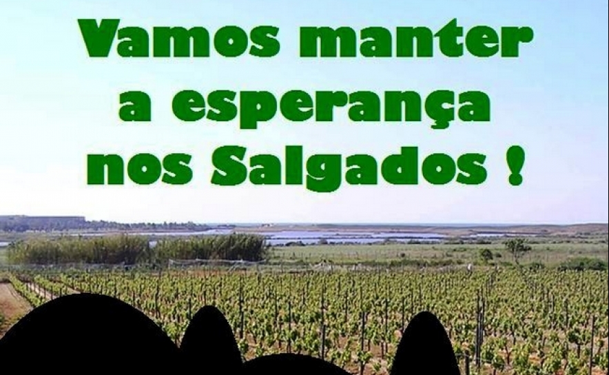 Manhã de atividades na Lagoa dos Salgados