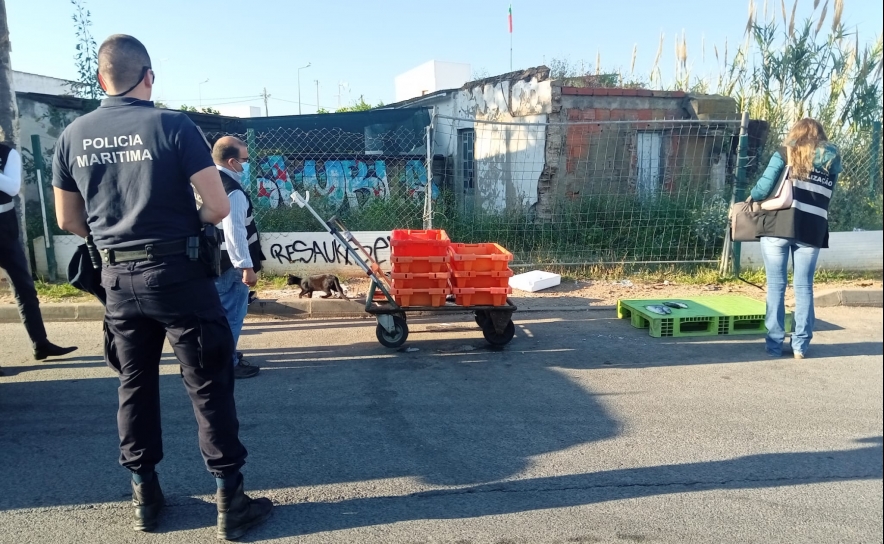 Polícia Marítima apreende 102kg de pescado diverso em ação conjunta em Quarteira