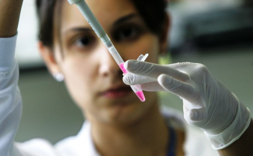 Estudo conclui que gene da juventude tem impacto na regeneração do tecido muscular