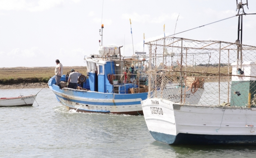 Dia Nacional do Pescador