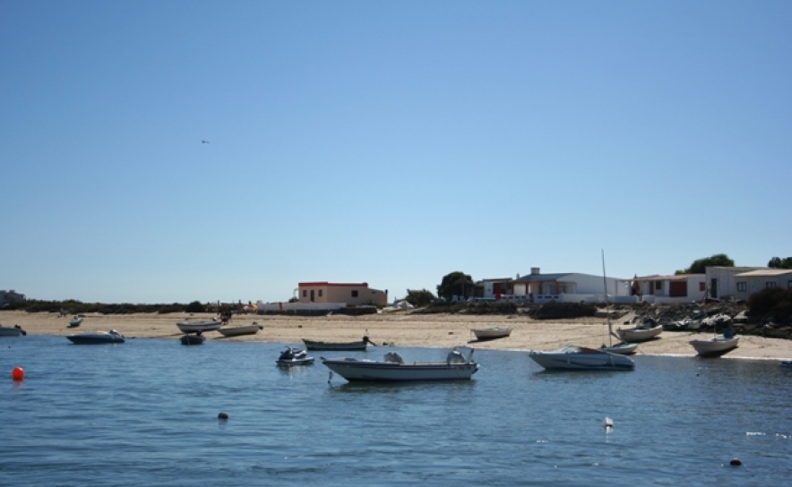 Mais de 300 pessoas exigem suspensão de demolições na Ria Formosa