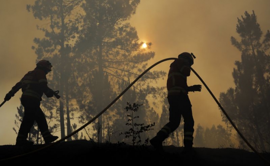 Incêndios: Mais de 80 concelhos de 10 distritos em perigo máximo