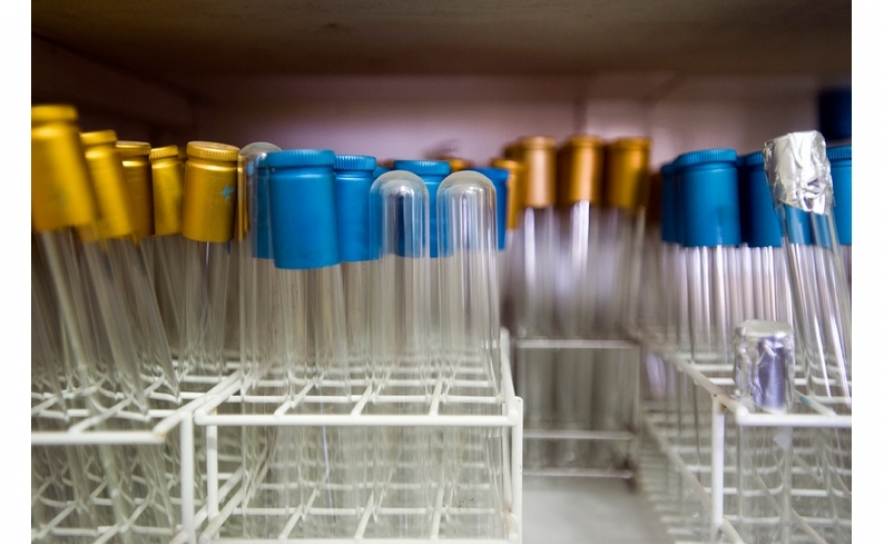 «Infraestruturas de Investigação apresentadas na CCDR Algarve»