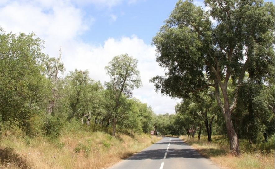 Estrada Nacional Chaves – Faro eleita um dos 19 locais do mundo a visitar em 2019