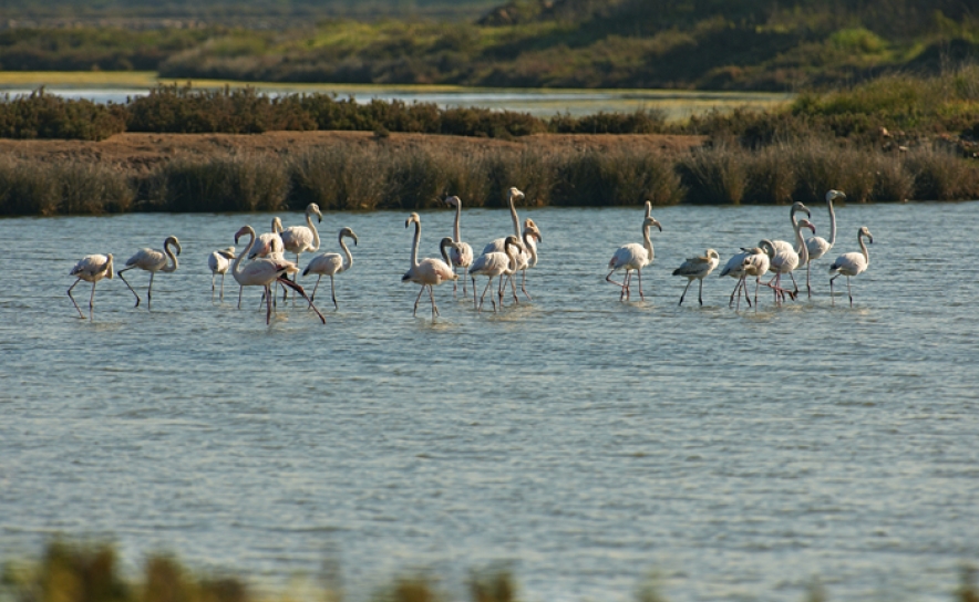 Algarve Nature Week apresenta Atividades ao ar Livre