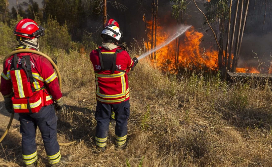 Incêndios/Algarve: Consolidação e rescaldo mobilizam 451 operacionais