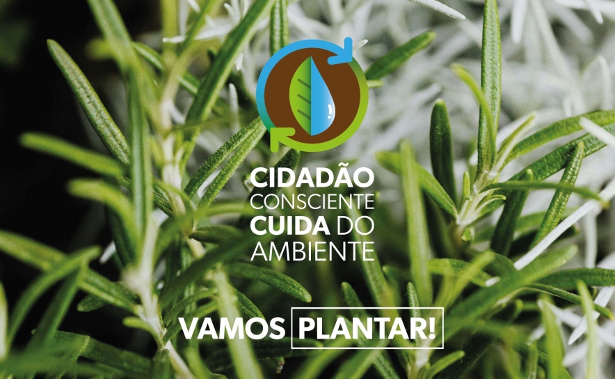 «VAMOS PLANTAR!» | ODEMIRA ASSINALA DIA MUNDIAL DA ÁRVORES COM OFERTA DE ESPÉCIES AUTÓCTONES À POPULAÇÃO