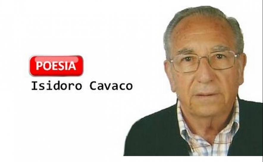 QUADRAS SOLTAS | (SANTO ANTÓNIO)