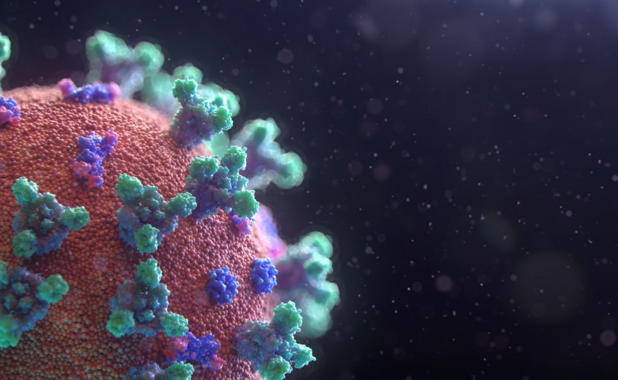 Covid-19: Algarve hoje com 84 novos casos de COVID-19 e mais 3 vítimas mortais