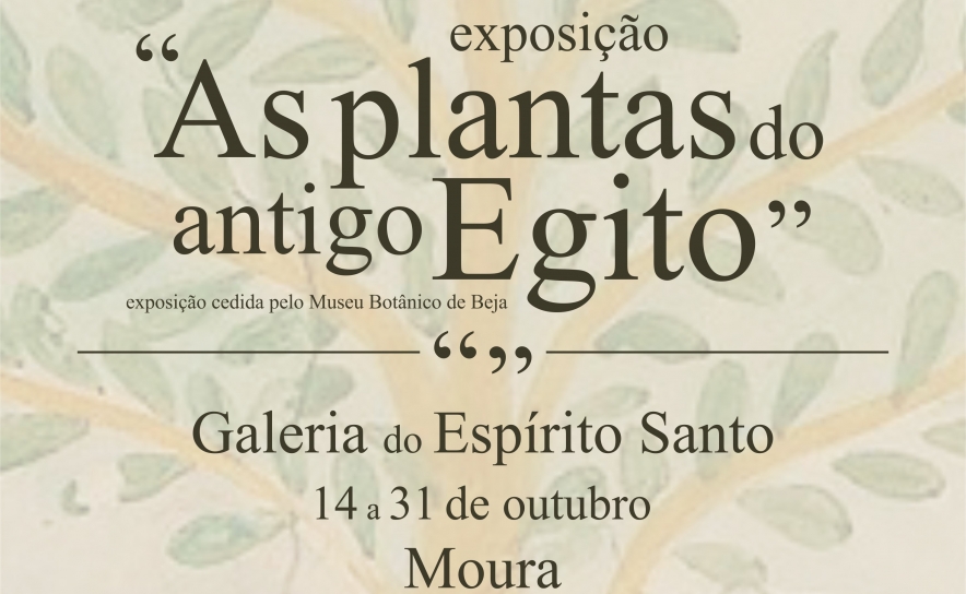 As Plantas do antigo Egito em exposição, na Galeria do Espírito Santo 