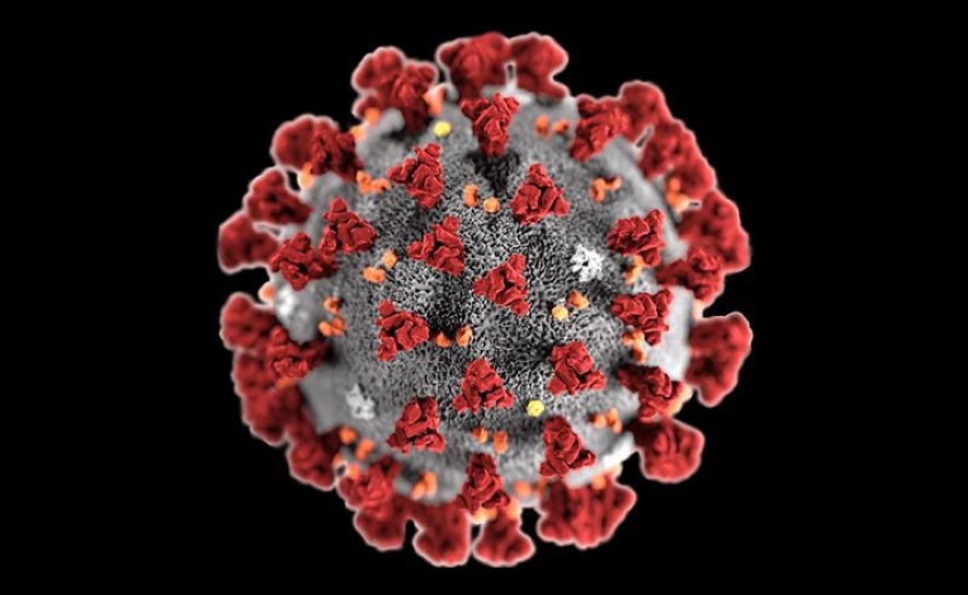 Covid-19: Algarve com 4.523 novos casos e 11 vítimas mortais entre 07 e 13 de junho