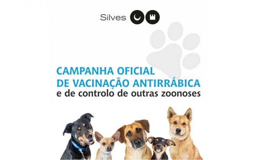 CAMPANHA OFICIAL DE VACINAÇÃO ANTIRRÁBICA TERMINA NO FINAL DE DEZEMBRO