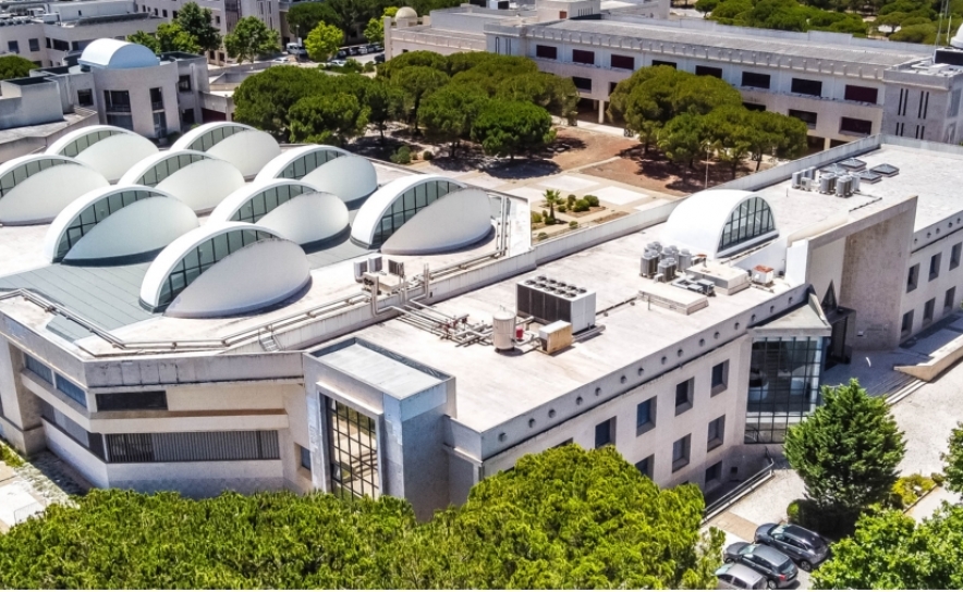 UAlg vê aprovado projeto de Inovação Digital para Economia Azul e Turismo Social