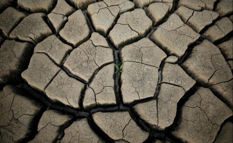 Seca: Feira em Ourique debate impacto das alterações climáticas na pecuária
