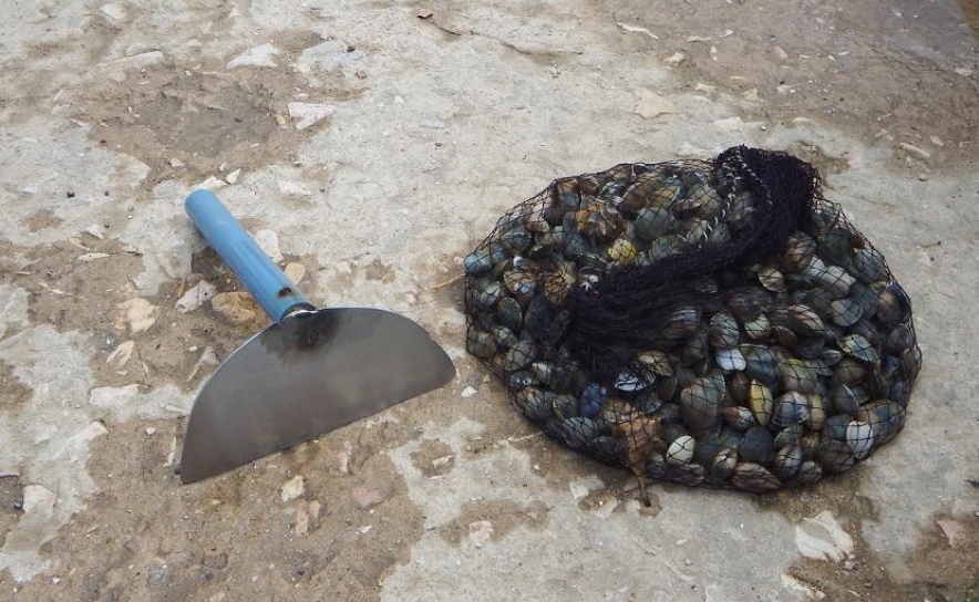 AUTORIDADE MARÍTIMA REALIZA AÇÃO DE FISCALIZAÇÃO NA RIA DE ALVOR