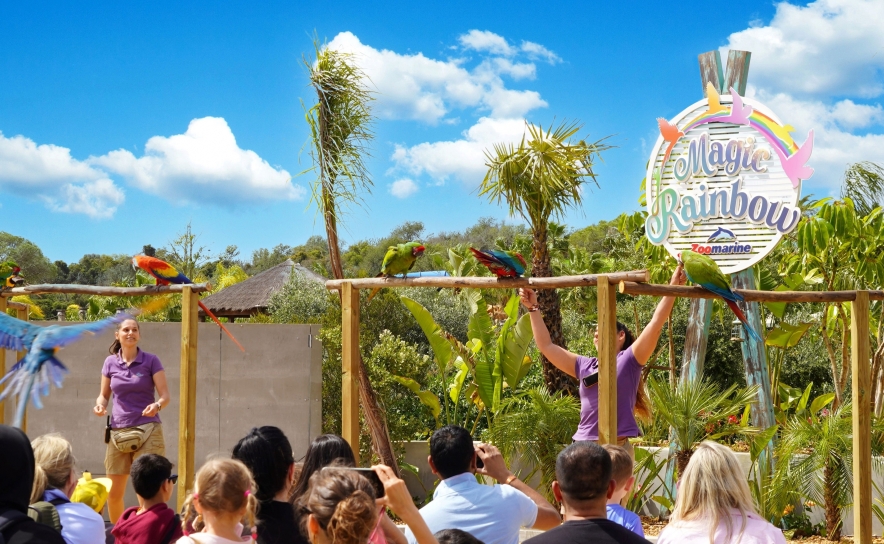 Zoomarine destaca recorde histórico da AIZA que ultrapassou os 15 milhões de visitantes em 2025