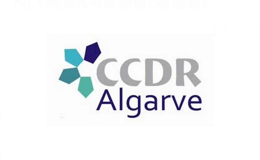 CCDR-Algarve quer atingir 60% de execução nos apoios comunitários até final de 2021