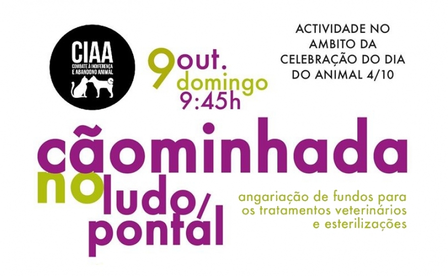 6ª CÃOMINHADA CIAA 