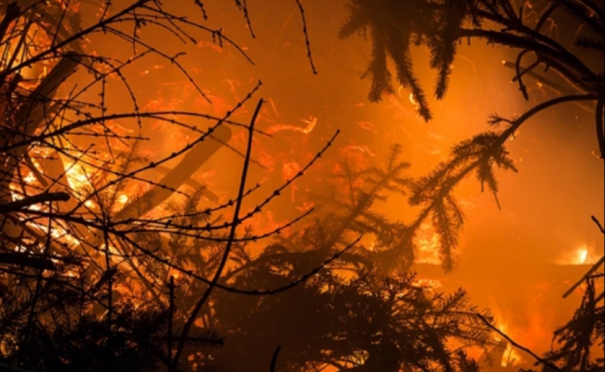 Incêndios | Algarve teve este ano 10 vezes mais área ardida mas de apenas três fogos