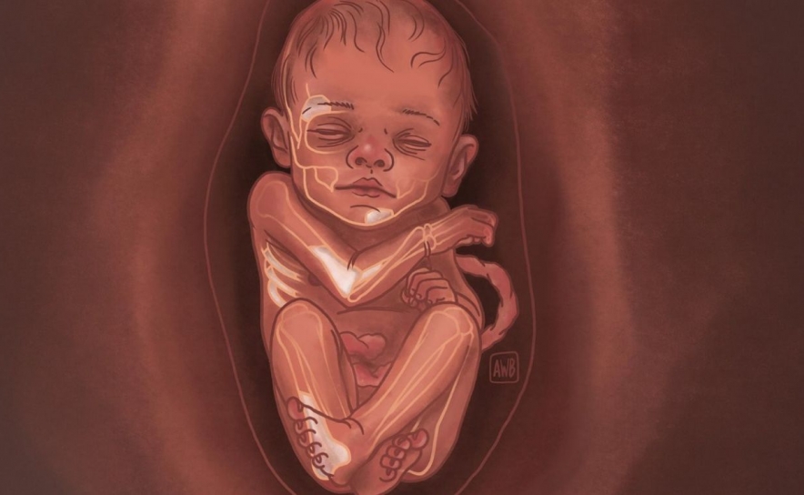 Novo estudo revela que Neandertais europeus descendem de uma única população