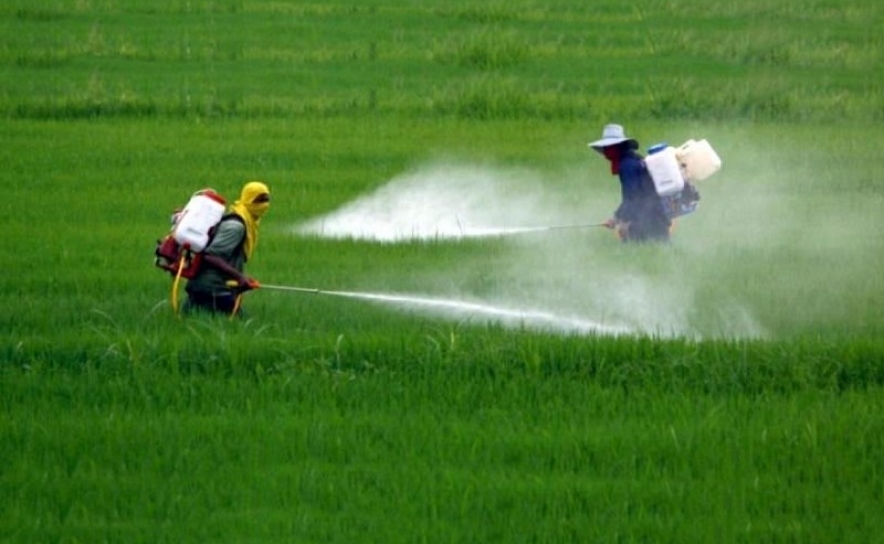A mais rápida de todas as Iniciativas de Cidadania Europeia MAIS DE UM MILHÃO DE ASSINATURAS CONTRA O GLIFOSATO