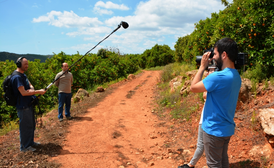 «Ingrediente Secreto» dá a conhecer a laranja de Silves