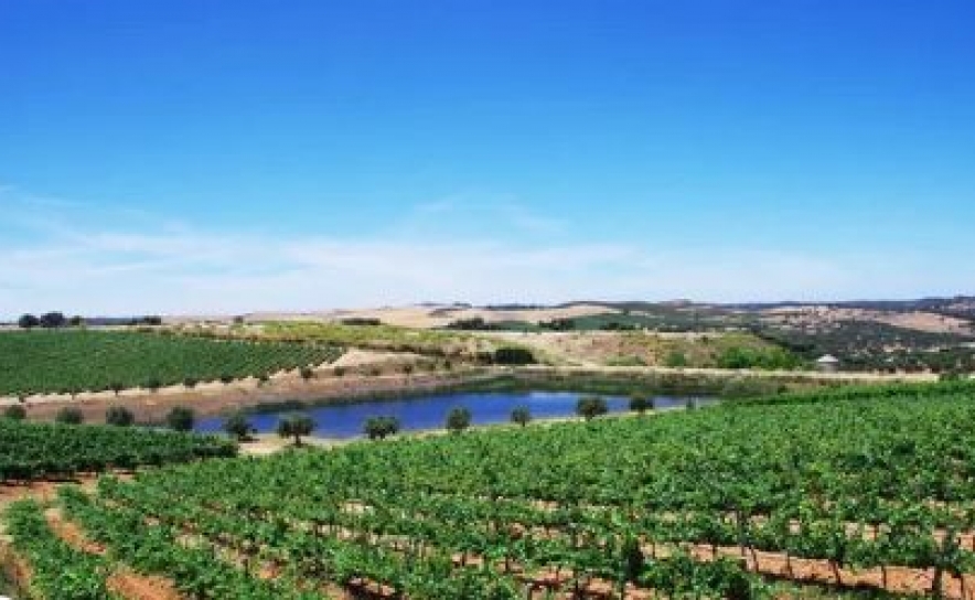 Primeira aldeia regenerativa tokenizada da Europa nasce no Alentejo