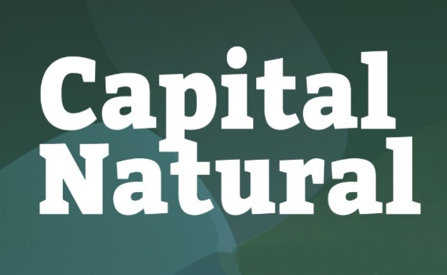 Investir em Capital Natural: NBI cria Guia de apoio aos investidores para o Município de Loulé